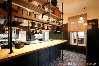 Renovated chateau with business opportunities