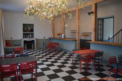 Renovated chateau with business opportunities