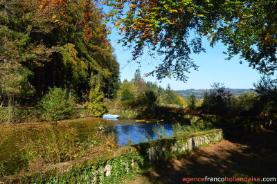 Renovated chateau with business opportunities