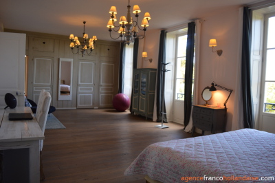 Renovated chateau with business opportunities
