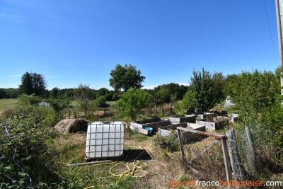 Farmhouse on 17 acres and various water sources