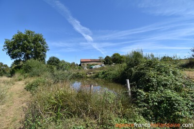 Farmhouse on 17 acres and various water sources