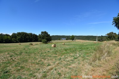 Farmhouse on 17 acres and various water sources