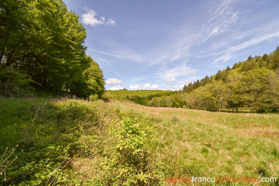 Farmhouse on 17 acres and various water sources