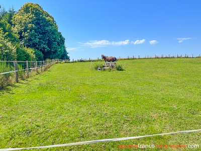Charming house with guest accommodation