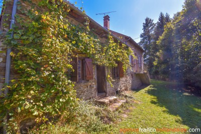 Renovated house with gîte and cottage