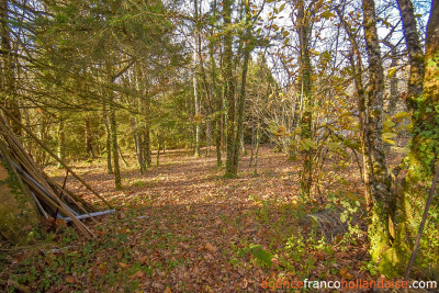 Investment 3-bed town house and 1/2 acre