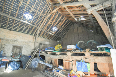 House with barns, swimming pool and close to 4 acres