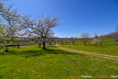 House with barns, swimming pool and close to 4 acres