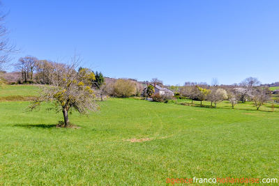 House with barns, swimming pool and close to 4 acres