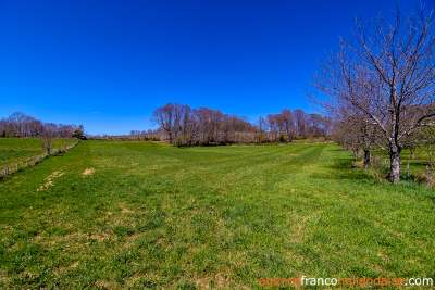 House with barns, swimming pool and close to 4 acres