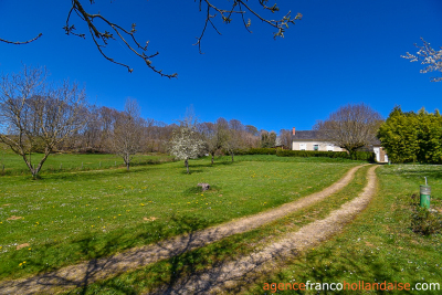 House with barns, swimming pool and close to 4 acres