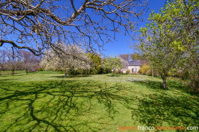 House with barns, swimming pool and close to 4 acres