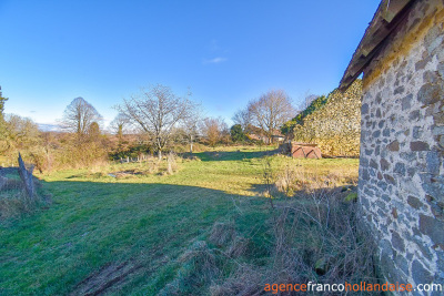 Farmhouse with 7 ½ acres