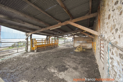 Beautiful stone house and 1 ½ acre of land