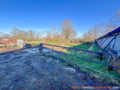 Beautiful stone house and 1 ½ acre of land