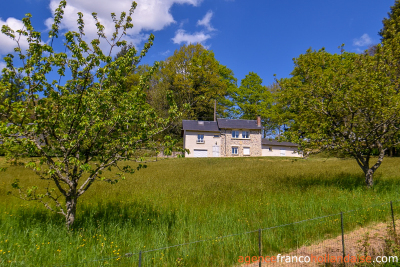 Beautiful, quiet stone property with land