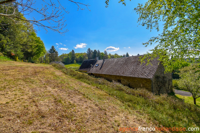 Beautiful, quiet stone property with land