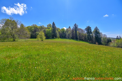 Beautiful, quiet stone property with land