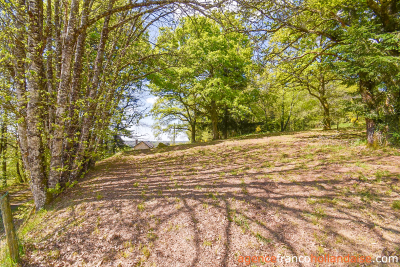 Beautiful, quiet stone property with land