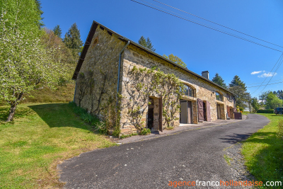Beautiful, quiet stone property with land