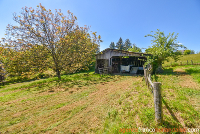 Two houses with a wooded park