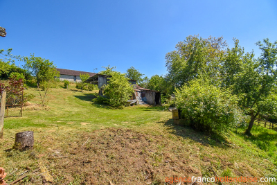 Two houses with a wooded park