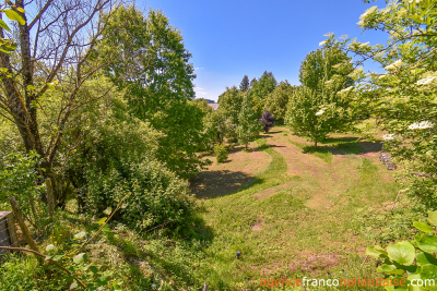 Two houses with a wooded park