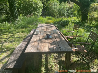 In the middle of the forest