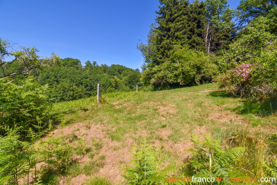 No neighbours, an old mill and 7.5 hectares (18 ½ acres)