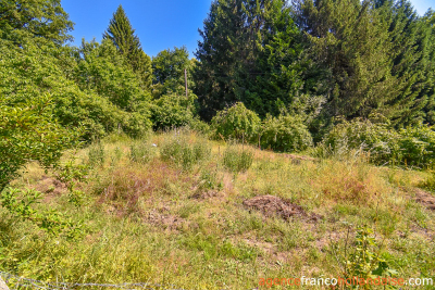 No neighbours, an old mill and 7.5 hectares (18 ½ acres)