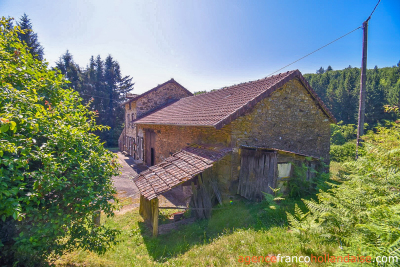 No neighbours, an old mill and 7.5 hectares (18 ½ acres)