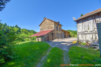 No neighbours, an old mill and 7.5 hectares (18 ½ acres)