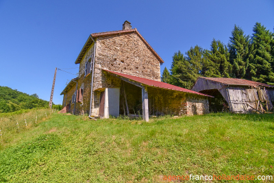 No neighbours, an old mill and 7.5 hectares (18 ½ acres)