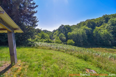 No neighbours, an old mill and 7.5 hectares (18 ½ acres)