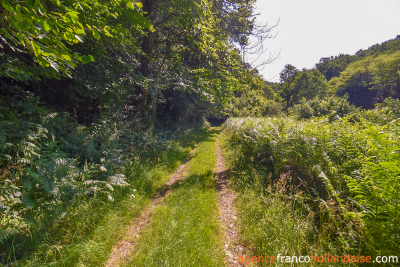 No neighbours, an old mill and 7.5 hectares (18 ½ acres)
