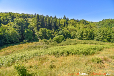 No neighbours, an old mill and 7.5 hectares (18 ½ acres)