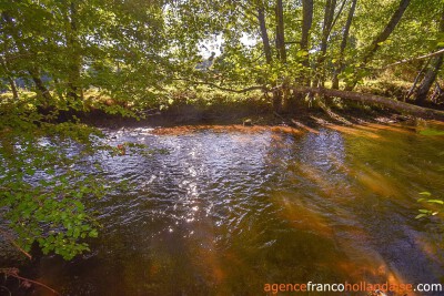 Ensemble with 36,5 acres