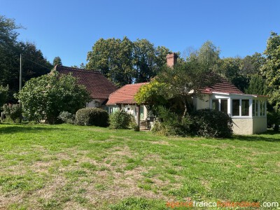 House with swimming pool and large wooded garden 