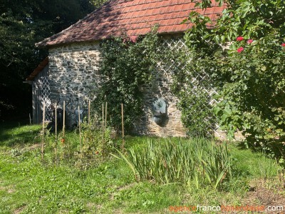 House with swimming pool and large wooded garden 