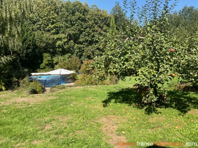 House with swimming pool and large wooded garden 